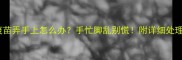 狗狗疫苗弄手上怎么办手忙脚乱别慌附详细处理指南