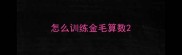 怎么训练金毛算数