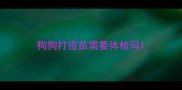 狗狗打疫苗需要体检吗