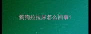 狗狗拉拉尿怎么回事