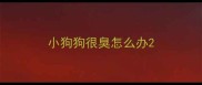 小狗狗很臭怎么办