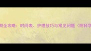 比熊犬换毛期全攻略时间表护理技巧与常见问题附科学养护方案