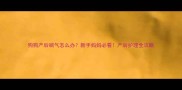 狗狗产后喘气怎么办新手妈妈必看产后护理全攻略