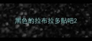 黑色的拉布拉多贴吧