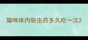 猫咪体内驱虫药多久吃一次