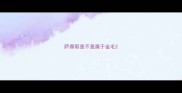 萨摩耶是不是属于金毛