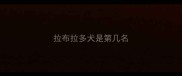 拉布拉多犬是第几名