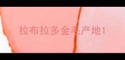 拉布拉多金毛产地