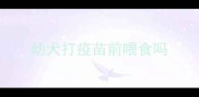 幼犬打疫苗前喂食吗