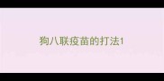 狗八联疫苗的打法