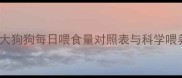 幼犬喂养黄金期2个月大狗狗每日喂食量对照表与科学喂养指南附喂食时间表