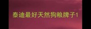 泰迪最好天然狗粮牌子