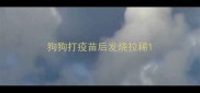 狗狗打疫苗后发烧拉稀