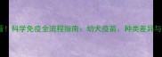 茶杯犬必看科学免疫全流程指南幼犬疫苗种类差异与常见误区