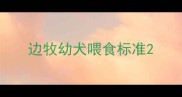 边牧幼犬喂食标准