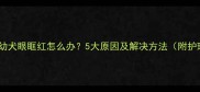 拉布拉多幼犬眼眶红怎么办5大原因及解决方法附护理指南