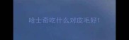 哈士奇吃什么对皮毛好
