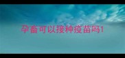孕畜可以接种疫苗吗
