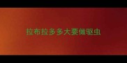 拉布拉多多大要做驱虫