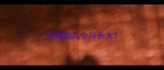 松狮狗几个月长大