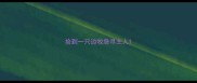 捡到一只边牧急寻主人