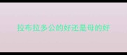 拉布拉多公的好还是母的好