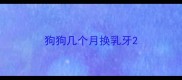狗狗几个月换乳牙
