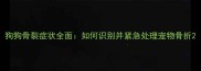 狗狗骨裂症状全面如何识别并紧急处理宠物骨折