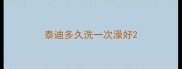 泰迪多久洗一次澡好