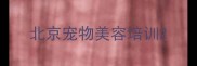 北京宠物美容培训