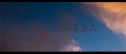 猫咪生小猫要多久