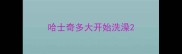 哈士奇多大开始洗澡