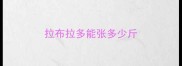 拉布拉多能张多少斤