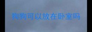 狗狗可以放在卧室吗