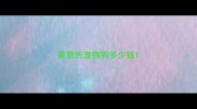 最贵的宠物狗多少钱
