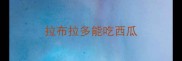 拉布拉多能吃西瓜