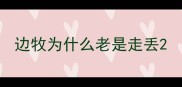 边牧为什么老是走丢