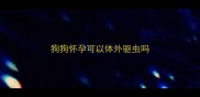 狗狗怀孕可以体外驱虫吗