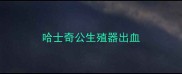 哈士奇公生殖器出血