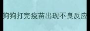 狗狗打完疫苗出现不良反应