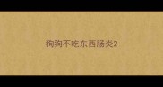 狗狗不吃东西肠炎