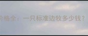 常州边牧犬价格全一只标准边牧多少钱附选犬指南