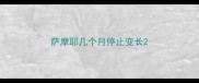 萨摩耶几个月停止变长