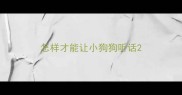 怎样才能让小狗狗听话