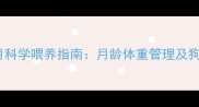 博美五个月科学喂养指南月龄体重管理及狗粮分量全