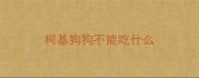 柯基狗狗不能吃什么