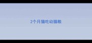 2个月猫吃幼猫粮