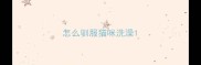 怎么驯服猫咪洗澡