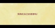 狗狗吃自己的便便吗