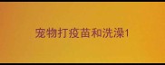 宠物打疫苗和洗澡